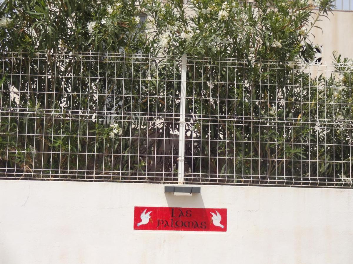 Las Palomas, Appartement 2 Chambres Avec Piscine Turís Zewnętrze zdjęcie